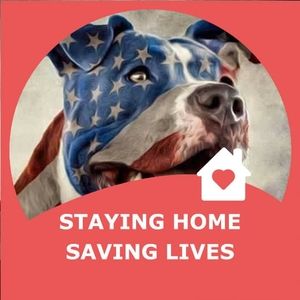 Meet your Posher, Levi